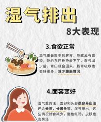 -Fundi张玉珊修身堂·indiba·BTL科技瘦身