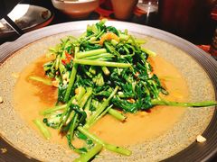 -Local泰莲庭(虹鳟鱼店)