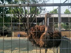 -迪茵湖田家舍生态农场