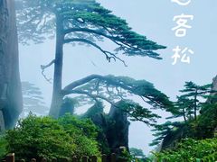 -黄山风景区