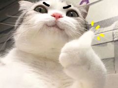 -成裕雪糕店(士多店)