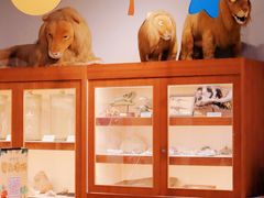 -正佳自然科学博物馆