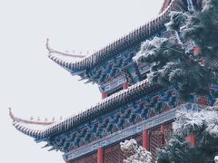 -开福禅寺