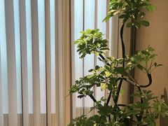 -喜湘宴·精致湖南菜(和平西桥店)