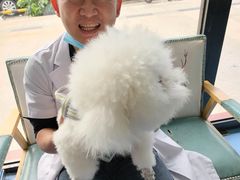 -博特宠物医院24h犬猫全科.骨科·异宠