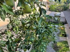 -乐领拈花溪·林涧食韵