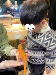 -酷嗒动物文化乐园(cutezoo西溪乐天城店)