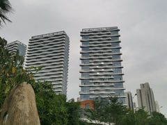 -五缘湾湿地公园