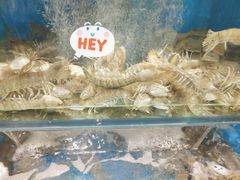 -海味当家(西安路店)