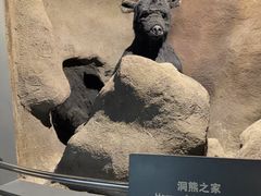 -大庆市博物馆