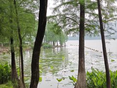 -飞来湖湿地公园