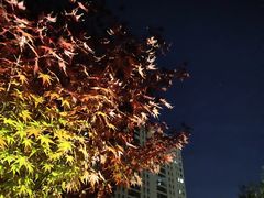 -即墨古城