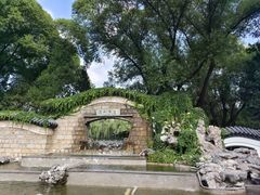 -团结湖公园