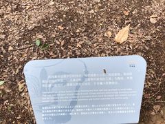 -河姆渡遗址博物馆