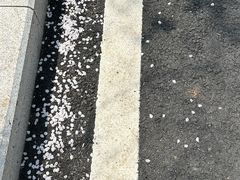 -溪涧堂农家土菜(神仙居店)
