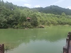 -广州白江湖森林公园