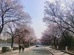 -吉林大学(南岭校区)