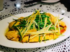 葱油嫩鸡-熠盛粤味(永康路店)