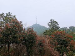 -敬亭山风景名胜区