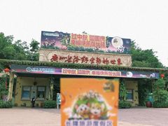 -广州长隆野生动物世界