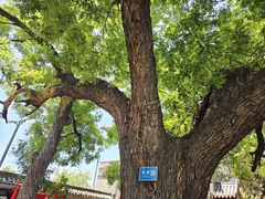 -洛阳周公庙博物馆