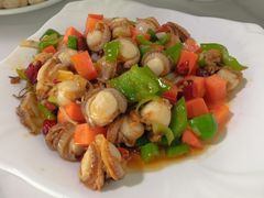 葱爆威海扇贝-威海渔村(静安旗舰店)