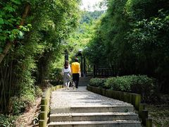 -九龙潭景区