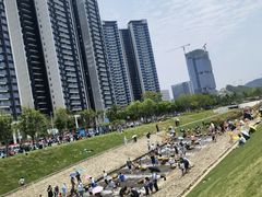 -光明小镇欢乐田园