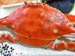 -兆辉木炭海鲜烧烤·海鲜小炒