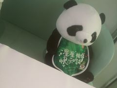 -眉州东坡·熊猫主题餐厅(枫蓝店)
