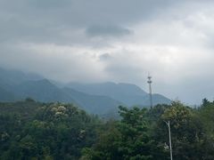 -大围山国家森林公园