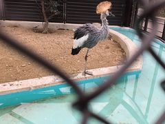 -杭州野生动物世界