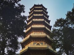 -灵谷景区