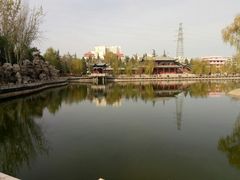 -金城公园