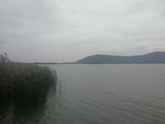 -莆鑫海鲜城(浏河店)