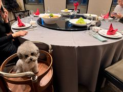 -山水雅居·江南雅宴(运河公园店)