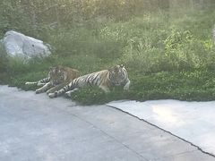 -西安秦岭野生动物园