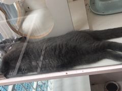 -熊小胖宠物生活馆(天华园店)