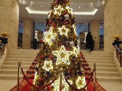 -上海虹桥西郊庄园丽笙大酒店