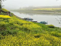 -新安江山水画廊风景区