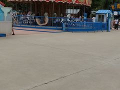 -威海华夏城景区