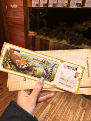 -Zoolung Zoolung动物主题公园(海信广场店)