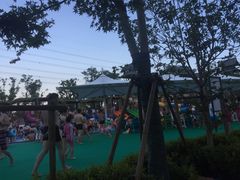 -苏州乐园森林水世界