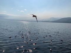 -西昌邛海湿地