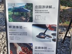 -Torch Coffee 炬点咖啡