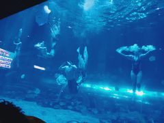 -华夏文旅海洋公园