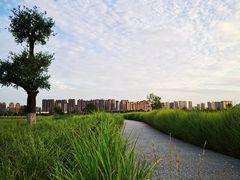 -汉长安城未央宫国家考古遗址公园