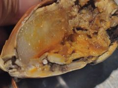 -呼吸森林·生态农庄农家乐私房菜