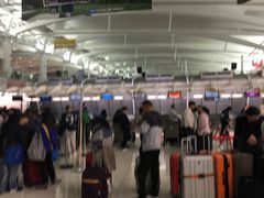 -约翰·菲茨杰拉德·肯尼迪国际机场