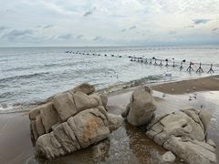 -田记自助海鲜饺子